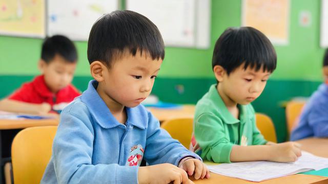 幼儿教育的主要内容